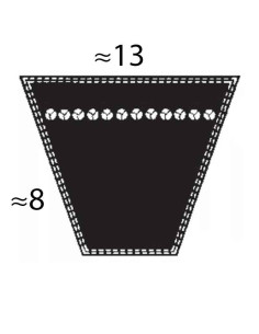 Pas klinowy HA / 13 2450 LD Fenner 2