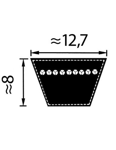 Pas 1/2" x 100" 12.7/13 x 2540