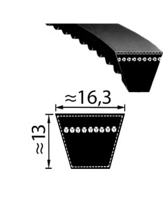 Pas XPB 2280 Optibelt 2