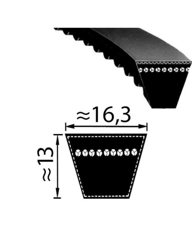 Pas XPB 1650 Optibelt